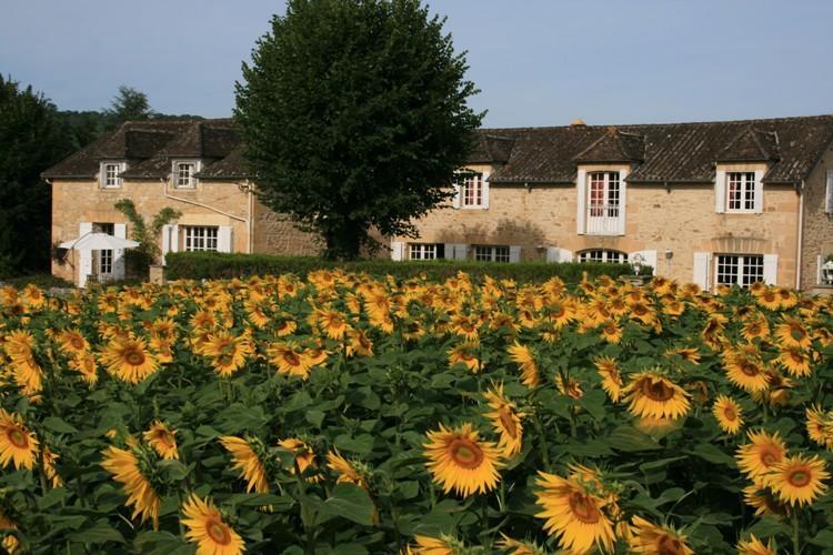 Domaine Des Hirondelles Villa Saint-Vincent-de-Cosse Rum bild